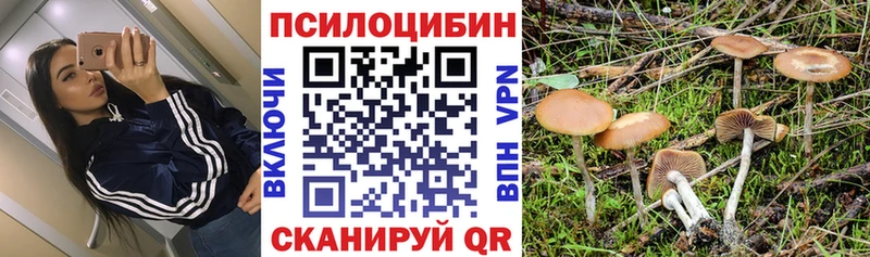 Псилоцибиновые грибы MAGIC MUSHROOMS  купить наркотики цена  MEGA как зайти  Куровское 